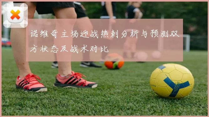 诺维奇主场迎战热刺分析与预测双方状态及战术对比