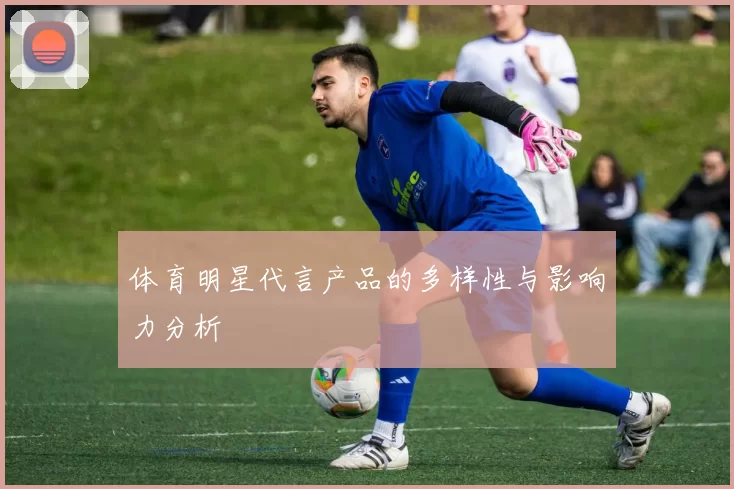 体育明星代言产品的多样性与影响力分析